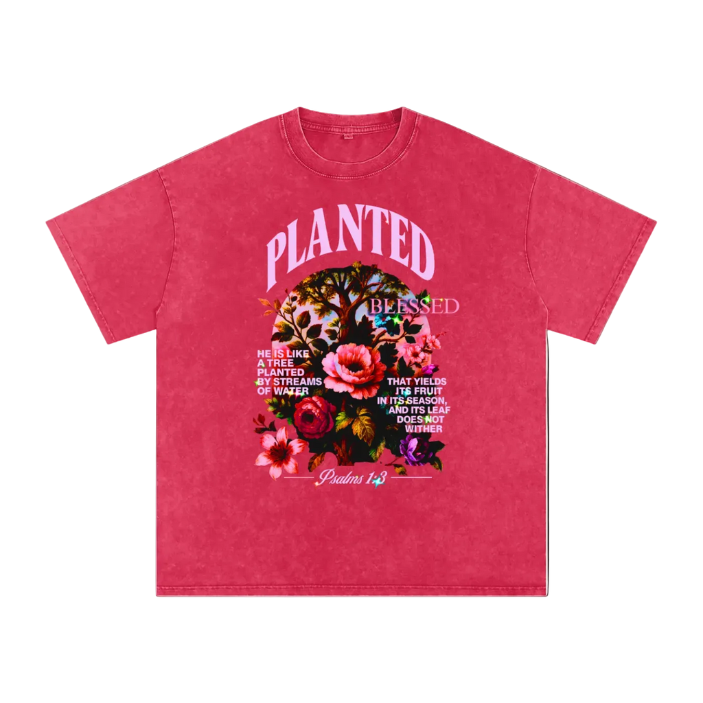 PLANTED Washed TEE