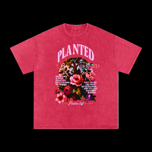 PLANTED Washed TEE